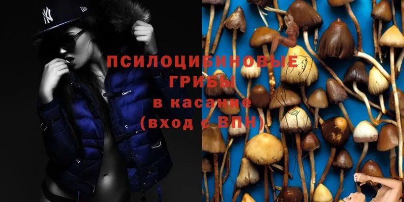 Галлюциногенные грибы Magic Shrooms  Арск 